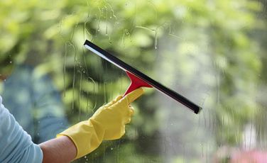 Colf Pulizie Domestiche Bologna e Provincia 